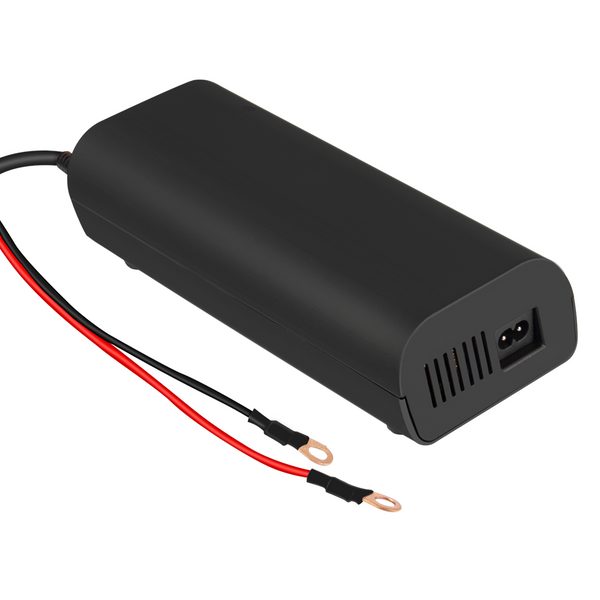 LIFEPO4 charger 12v 20a